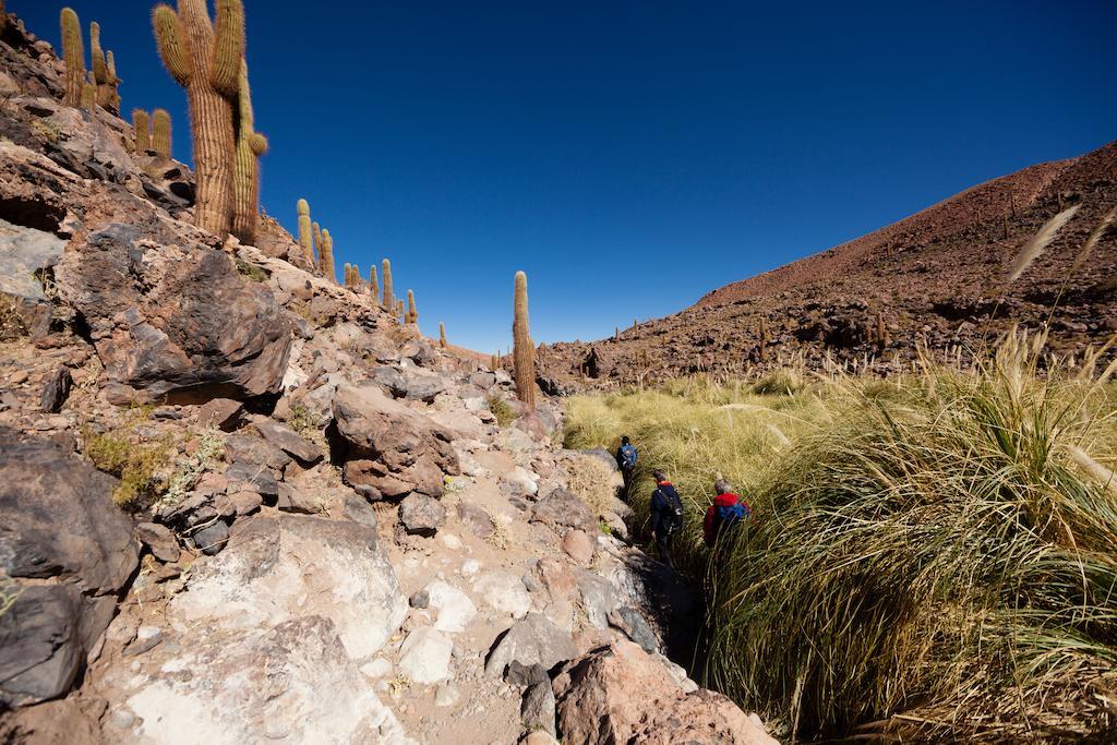 Nayara Alto Atacama Hotel San Pedro de Atacama Eksteriør billede